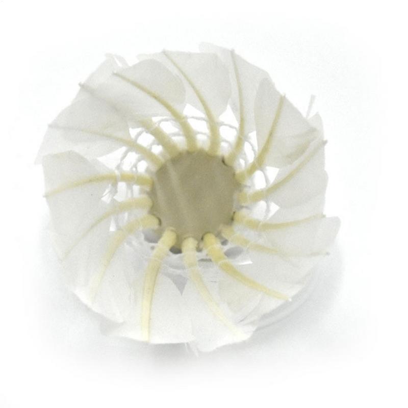 12 قطعة من كرات الريشة الطائرة - مراجعة Feather Shuttlecock وسعره